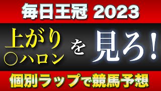 【毎日王冠2023】ソングライン・シュネルマイスター2頭のG1馬が再激突！付け入る隙はあるのか？府中1800m好走のポイントとは〈うまけんch〉