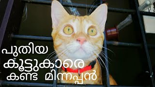 Minnappan with his New Friends. ||പുതിയ കൂട്ടുകാരുമായി മിന്നപ്പൻ ||😻