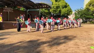 やいろ 2018/4/29 のんほいよさこい 松葉公園メイン会場