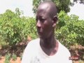 burkino faso s jatropha plant provides fuel for farmers