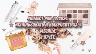 Project pan 12/2024. Использовать и выбросить за 3 месяца. 1 отчёт 👍😍.