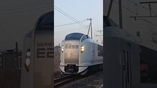 E259系Ne001編成（トップナン）特急しおさい14号東京行と総武本線マリC602編成を飯岡駅付近から撮影。