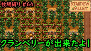 【Stardew Valley】今日の牧場縛り #64 クランベリーが出来たよ！【1年目秋8日目】