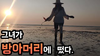 손만 넣으면  족족 나온다.   떡조개 캐는 노하우방출