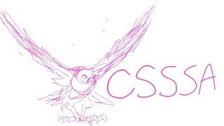 REJECTED csssa animation application 2019
