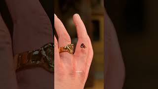Wedding Ring Stops Bullet