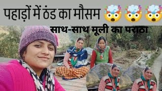 llमूली का पराठा कैसे बनायेll🤗🤗ll पापा खुश हो गये ll Dailylifestylevlog ll devbhumi uttrakhand llpp