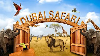 Explore Dubai Safari Park Ultimate Wildlife Adventure!