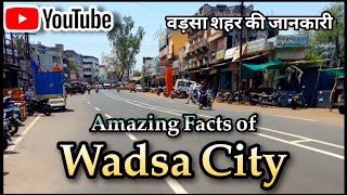 Wadsa City | Amazing Facts of Wadsa City | City Information | वड़सा शहर की जानकारी |