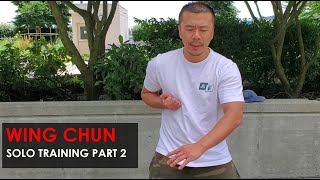 Solo Training Drills Part 2 - Wing Chun, Kung Fu Report - Adam Chan