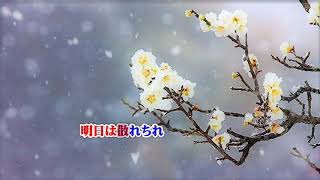 西方裕之・寒桜・Cover越後屋小助