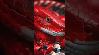 superhero but 💥 snake Advenger #shortsvideo #youtubeshorts #viralvideo