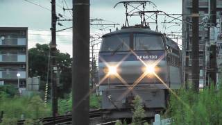 JR貨物 EF66 120号機 貨物列車7059レ\u0026115系濃黄色 五日市～廿日市 2011.9