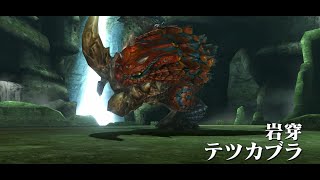 【MHXX】『特殊許可クエスト』岩穿テツカブラ初めて戦う！