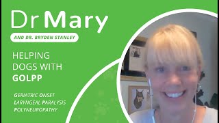 🐾 Dr. Mary: Helping Dogs with GOLPP (Feat. Dr. Bryden Stanley)