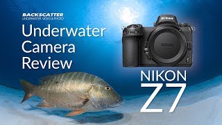 Nikon Z7 Underwater Camera Review