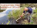 Cleaning the Herons pond