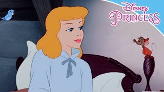 Cinderella | A Dream is a Wish Your Heart makes | Disney Junior Arabia
