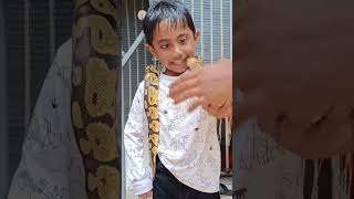 വേലിയിൽ ഇരുന്ന പാമ്പ് #trending #trendingshorts #snake #petstation #family #funny