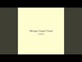 Whisper Ocean Forest