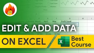 How to Add & Edit Data on Excel