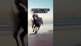 Skinwalker Caught on Camera  Skinwalker scary  videos horror creepy.