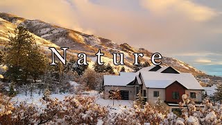 Nature 4K HD