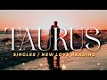 TAURUS (Singles) - Someone Who Said 'NO' Before Is Coming Back Now | SEP 14-20