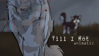 Till I Rot || Animatic