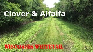 Planting Clover \u0026 Alfalfa Food Plot