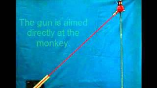 The Monkey and Ranger