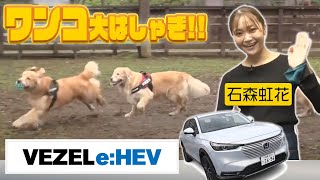 わんこが喜ぶ新型VEZELでいくドライブ旅！犬専用施設で遊び尽くす！