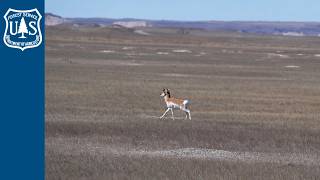 Wildlife and Drought Research