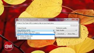 First Look: Free YouTube Downloader