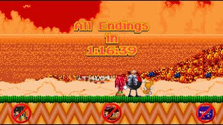 [WR] Sonic.exe: The Spirits of Hell - All Endings Speedrun in 1:16:39