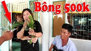 Giọng Ca Ngọt Ngào "Làm Mưa Làm Bão" Đây Rồi | Hát 1 Bài Tiền Bông Đếm Không Xuể Luôn