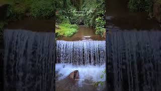 Catherine Falls in Nilgiris, a majestic cascade of nature's beauty.