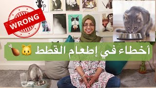 أخطاء في إطعام القطط cat chat -Cat feeding mistakes