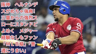 阪神・ヘルナンデスの超強肩が話題！MLB未経験でも「MLB級」と絶賛の嵐！