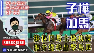 【香港賽馬】排位日馬上做功課!推介邊線出擊馬匹! #UPICK駿馬優選 《2024年4月20日賽事》沙田C3/泥跑道『子樺加馬EP66』 #香港賽馬  主持嘉賓 : #子樺 #沙田 #日賽 #泥草混合