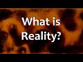 What is Reality?