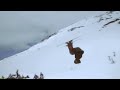 whistler blackcomb the wind lip