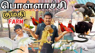 🔥Kumki farm pollachi #vinothvlog