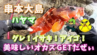 【グレ釣り】串本須江のハヤマで2019納竿の儀(^^♪最後はやっぱりオカズ釣りｗ