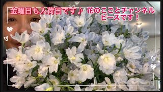 【花】花屋が選ぶ新鮮な切り花！またまた追加で入荷しました！#97