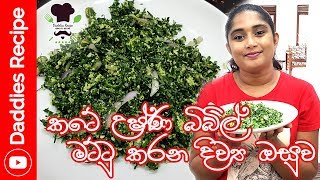 කටේ උෂ්ණ බිබිල් මට්ටු කරන කතුරුමුරුංගා කොළ සම්බෝල හදමු - Kathurumurunga Sambol Recipe