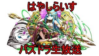 【パズドラ生放送】8月クエストチャレダン終わらせます！　はやしらいす