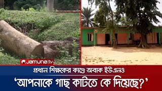 সরকারি স্কুলের গাছ নিলামে তুললেন প্রধান শিক্ষক, অবাক ইউএনও! | CTG Khagrachrai | Tree Cut