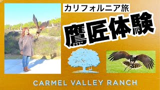 【カリフォルニア旅】鷹匠体験 スローモーション動画迫力あるわよ！