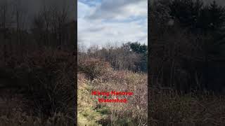 Hiking Hanover Watershed WMA - full video in comments @dayhikingandherpingdudes